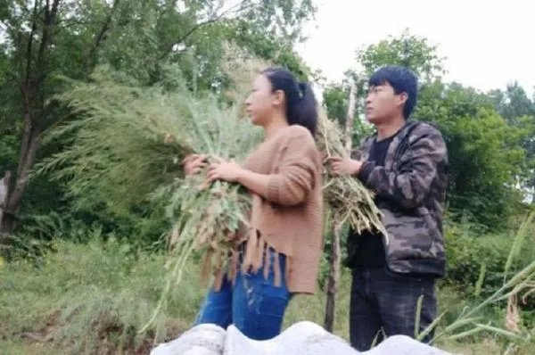 河南22岁男子不顾反对,娶36岁离异大姐,如今他们生活如何?