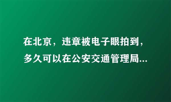 在北京，违章被电子眼拍到，多久可以在公安交通管理局网站查到？