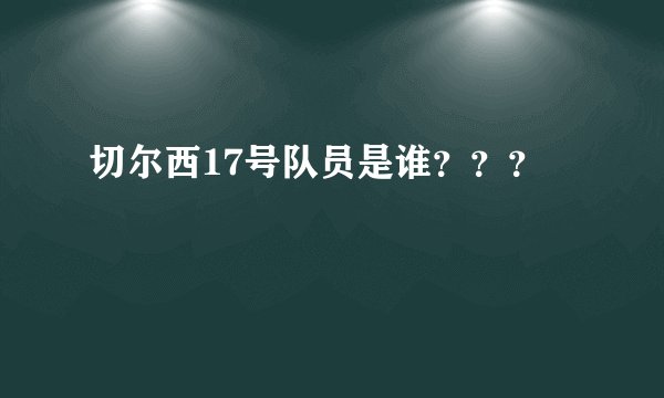 切尔西17号队员是谁？？？