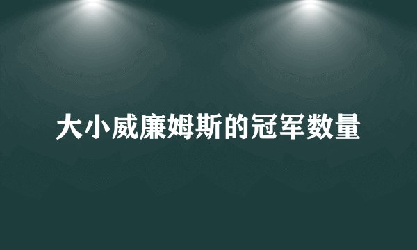 大小威廉姆斯的冠军数量