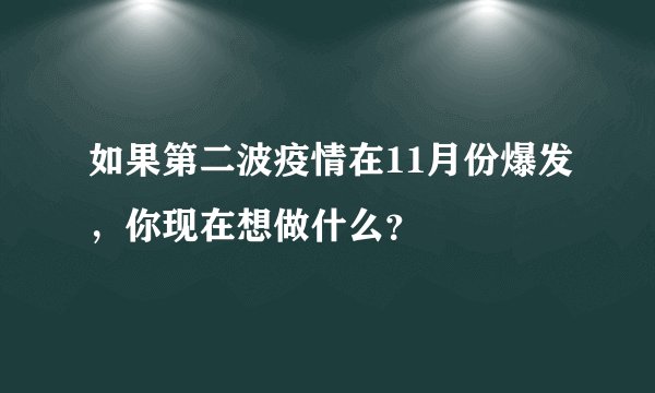 如果第二波疫情在11月份爆发，你现在想做什么？