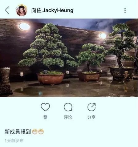 台媒曝郭碧婷怀孕 素颜大肚照曝光预产期在9月份