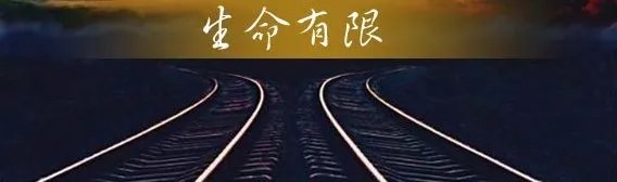 女子野生动物园喂动物吃口罩究竟是怎么回事?