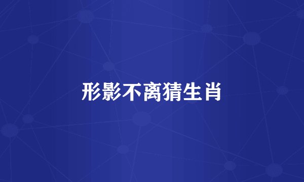 形影不离猜生肖