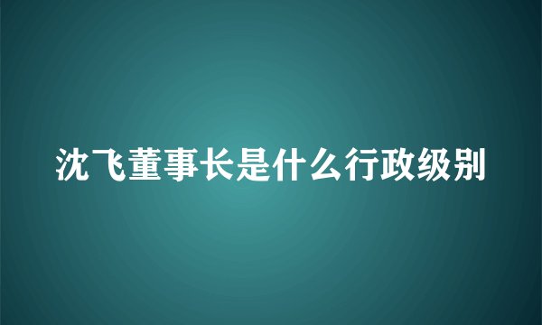 沈飞董事长是什么行政级别