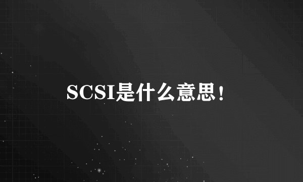 SCSI是什么意思!