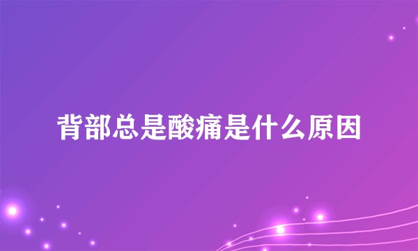 背部总是酸痛是什么原因