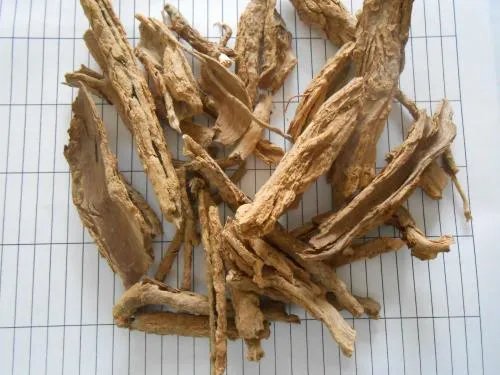 什么叫地骨皮？