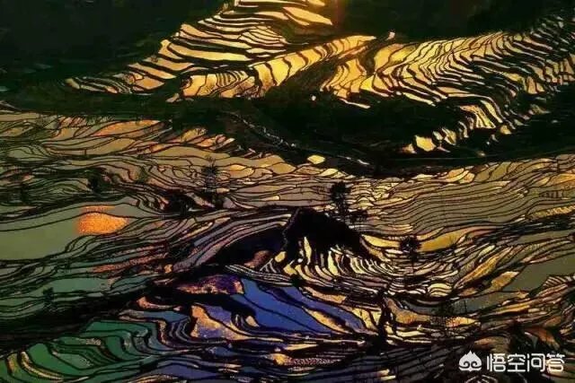 云南哈尼梯田的特点