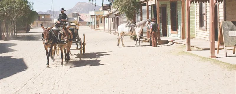 马肉能吃吗 马肉怎么吃