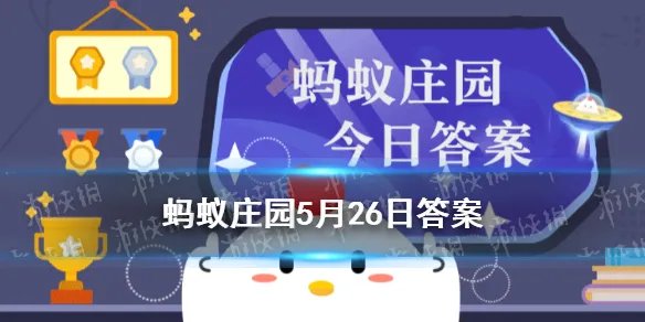 吃汤泡饭对身体有危害吗 汤泡饭蚂蚁庄园5月26日答案最新