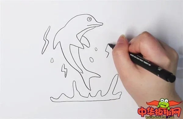 海豚是什么颜色的图片大全?