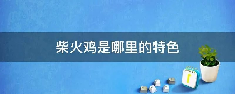 柴火鸡是哪里的特色