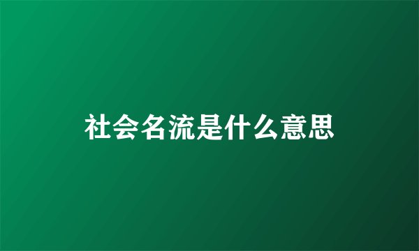 社会名流是什么意思