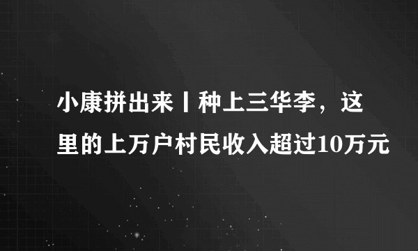 小康拼出来丨种上三华李，这里的上万户村民收入超过10万元