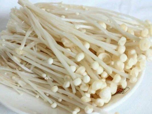 蘑菇图片大全 常见的蘑菇种类有哪些