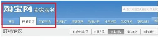 淘宝旺铺专业版多少钱