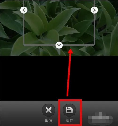 如何设置飞信头像?