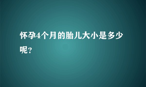 怀孕4个月的胎儿大小是多少呢？
