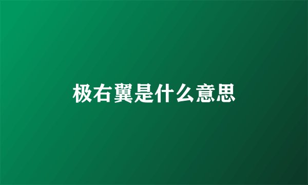 极右翼是什么意思