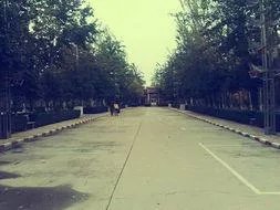 河北师大汇华学院怎么样?