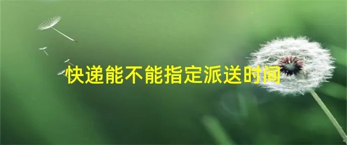 快递能不能指定派送时间