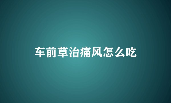 车前草治痛风怎么吃