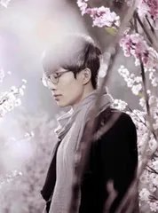 歌名歌词和蝴蝶有关的歌曲?