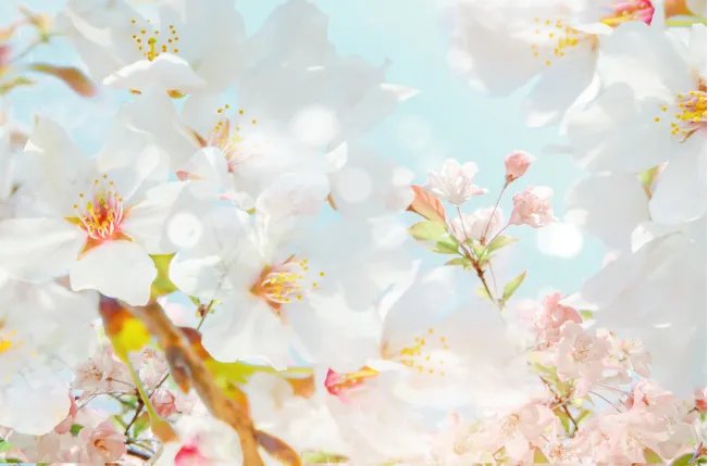 2021年什么时候打春 打春有什么禁忌和说法