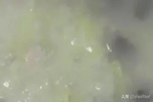 营养早餐的做法大全？