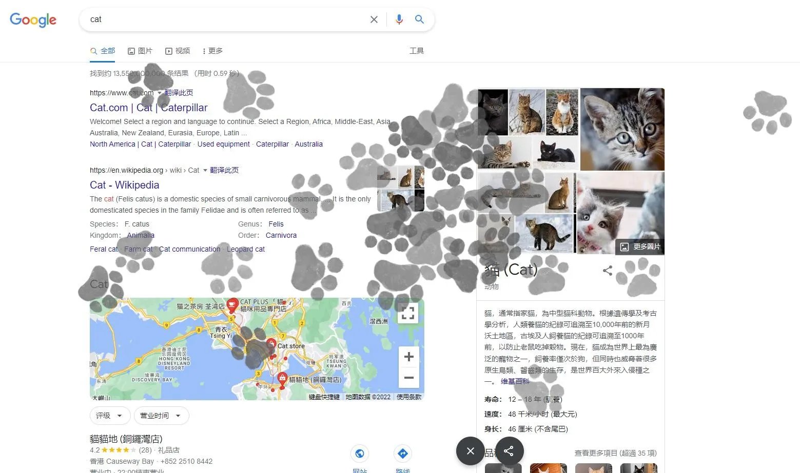 迎接国际猫咪日 谷歌上线猫咪爪印彩蛋小游戏