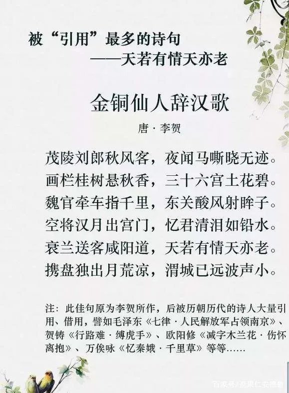 ＂天若有情天亦老＂是什么意思？是谁创作的诗句？