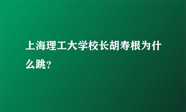 上海理工大学校长胡寿根为什么跳？