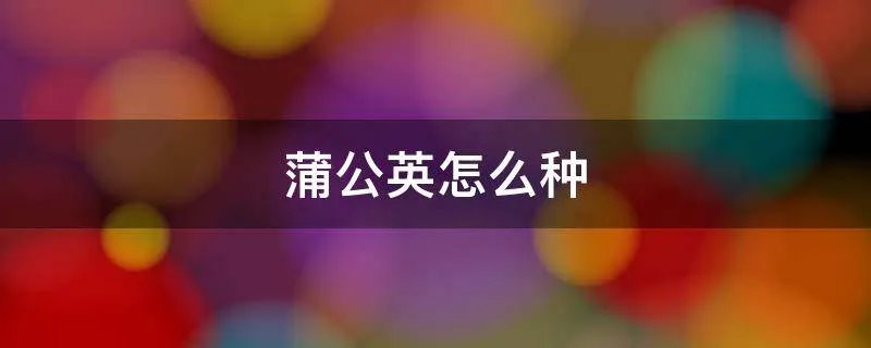 蒲公英怎么种