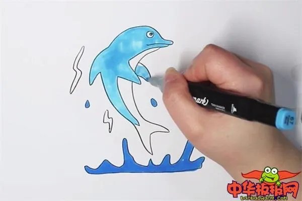 海豚是什么颜色的图片大全?