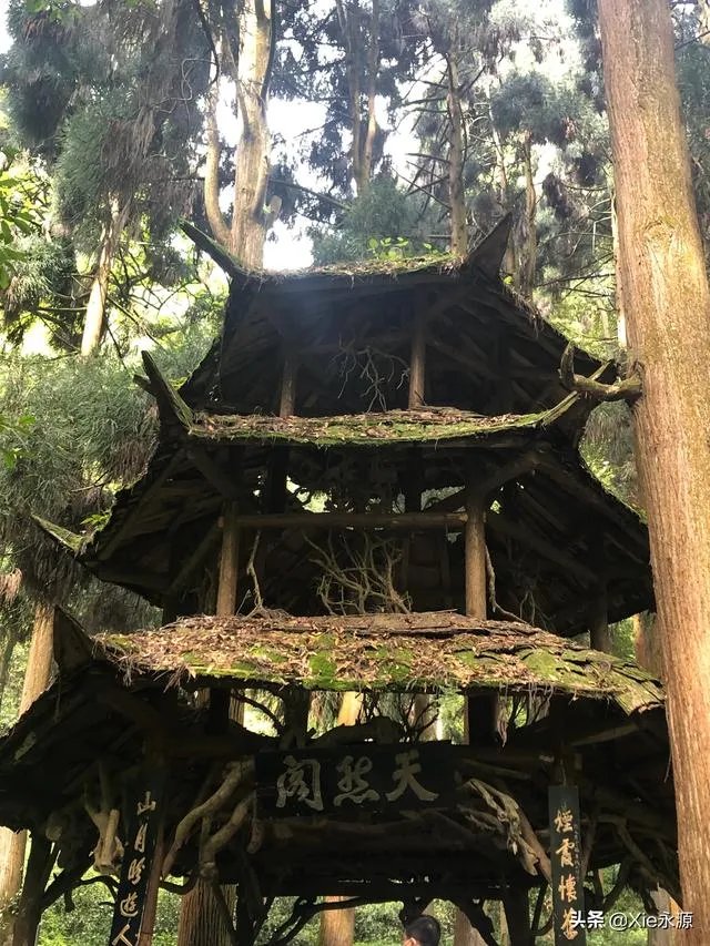 成都青城山好玩吗？