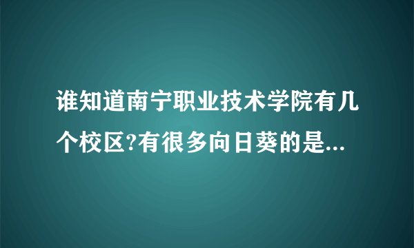 谁知道南宁职业技术学院有几个校区?有很多向日葵的是哪个校区，地址是?从琅东汽车站如何到达这个校区？