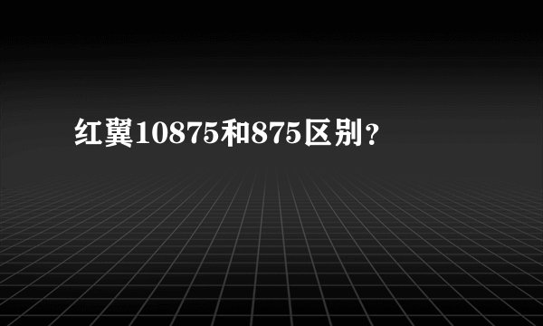 红翼10875和875区别？