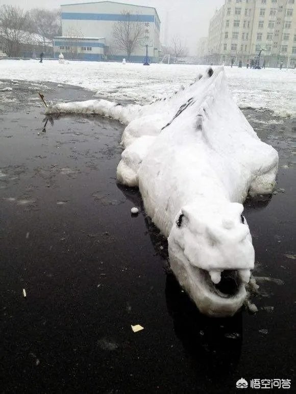 有哪些堆的雪人图片分享？