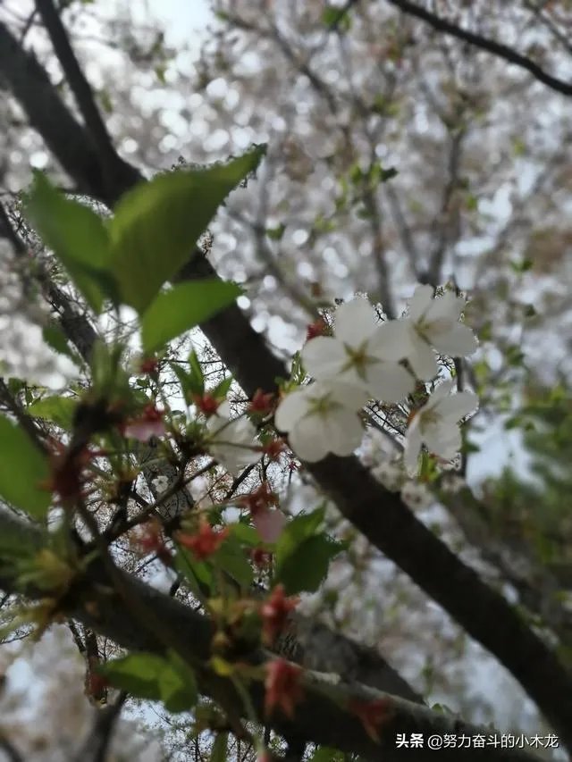 一个普通的女生如何才能谈一场恋爱？