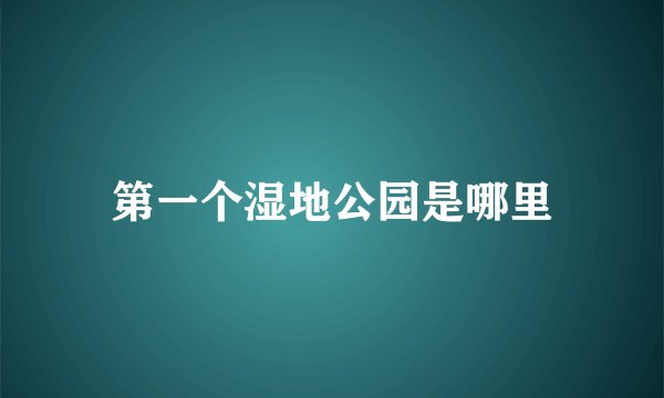 第一个湿地公园是哪里
