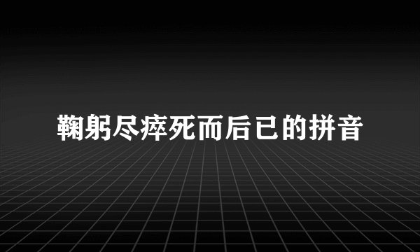鞠躬尽瘁死而后已的拼音