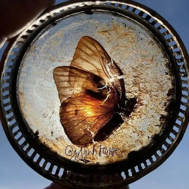 捡垃圾没出息？他在凌晨3点做了一生中最有意义的事情