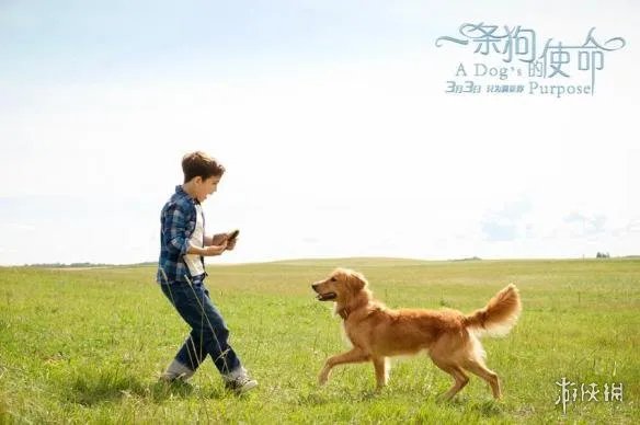 2017被中国拯救的10部好莱坞电影 一眼望去全是烂片!