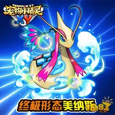 宠物小精灵XY笨笨鱼图鉴