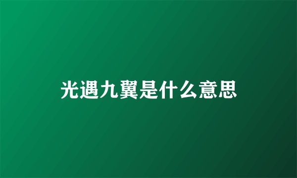 光遇九翼是什么意思