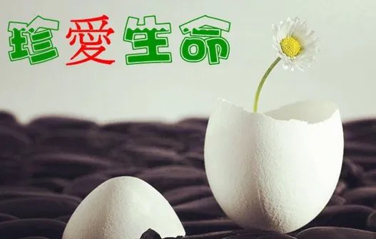 29岁妈妈将4岁女儿扔下11楼跟着跳楼身亡是怎么回事?