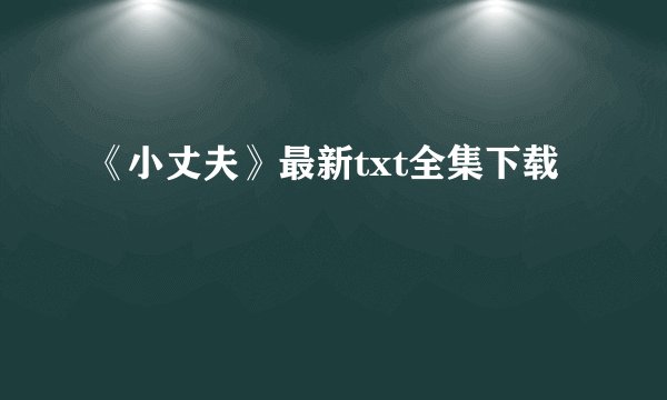 《小丈夫》最新txt全集下载