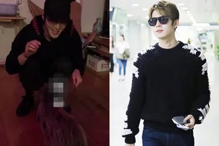 陈学冬晒看病处方 训猪视频秀英语