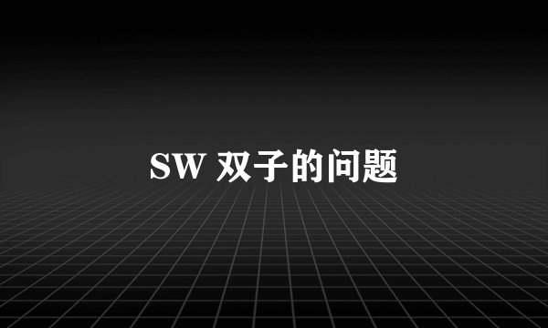 SW 双子的问题